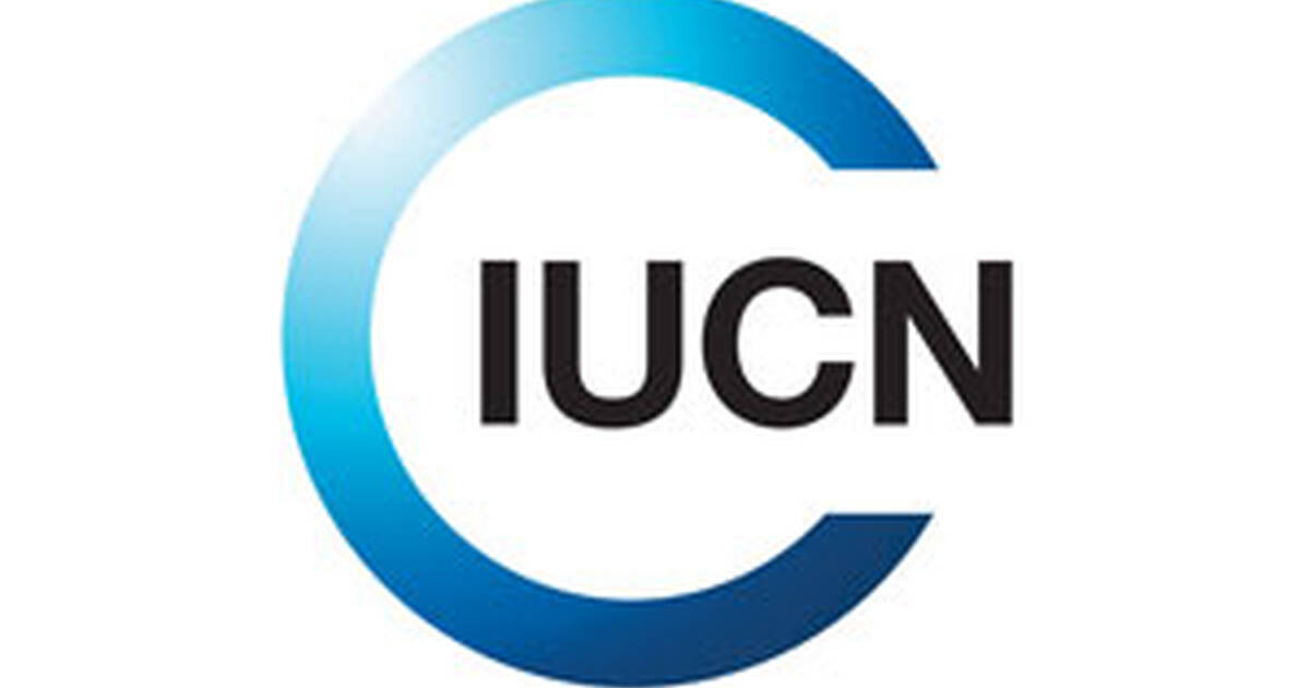 IUCN (International Union for Conservation of Nature)
