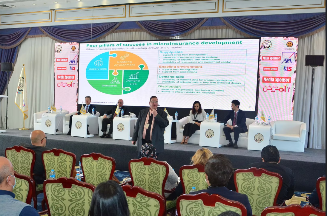 Federation of Egyptian Insurance Companies